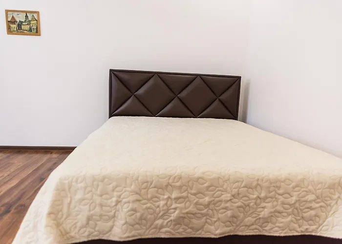 Apartment в серці міста лева